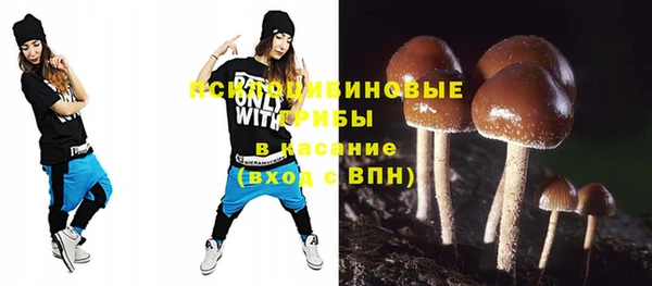 метадон Алексин