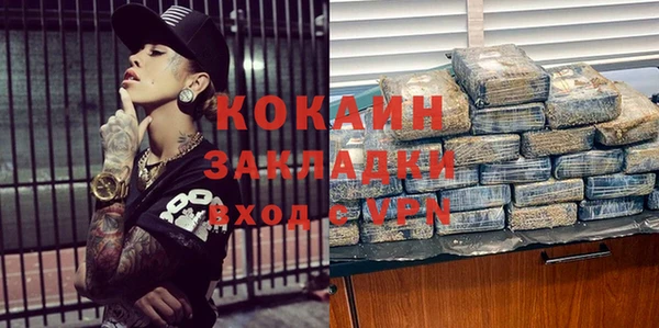 метадон Алексин