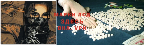 PSILOCYBIN Ростов