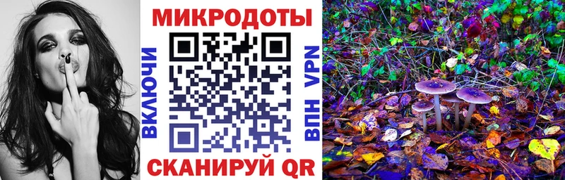 Галлюциногенные грибы Psilocybe  Данилов 